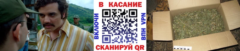 Купить закладку Кокаин  A-PVP  Амфетамин  МАРИХУАНА  Метамфетамин  ГАШ  Меф  Галлюциногенные грибы  Пикалёво