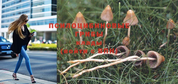 синтетический гашиш Белокуриха